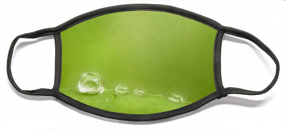 Water Drops Face Mask featuring the photograph Raindrops on Green by Scott Norris