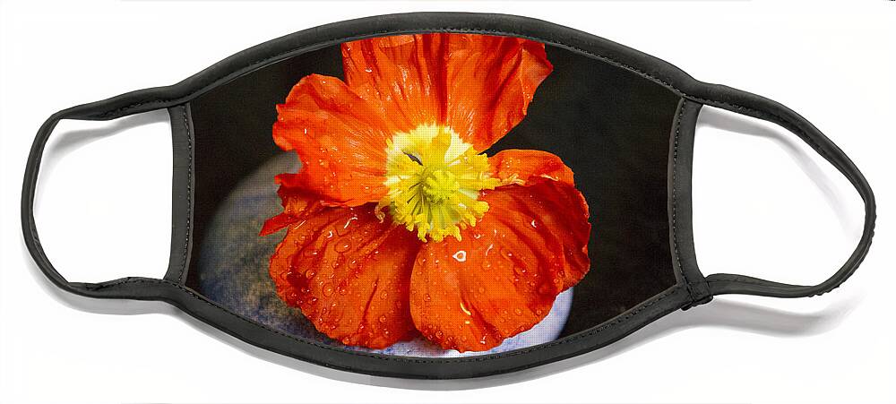 Raindrops Face Mask featuring the photograph Raindrops on Poppy by Jeanette French