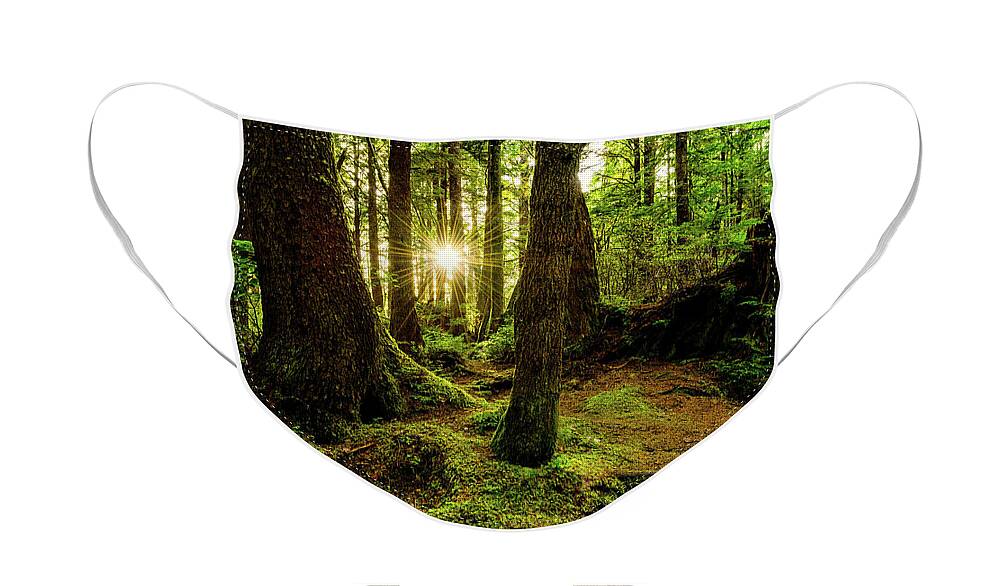 #faatoppicks Face Mask featuring the photograph Rainforest Path by Chad Dutson