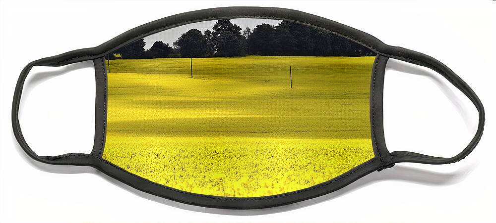 Heiko Face Mask featuring the photograph Rape Field in East Germany by Heiko Koehrer-Wagner