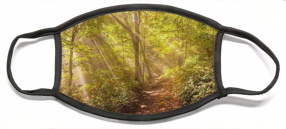 Atmosphere Face Mask featuring the photograph Rays of Light in the Forest by Rikk Flohr