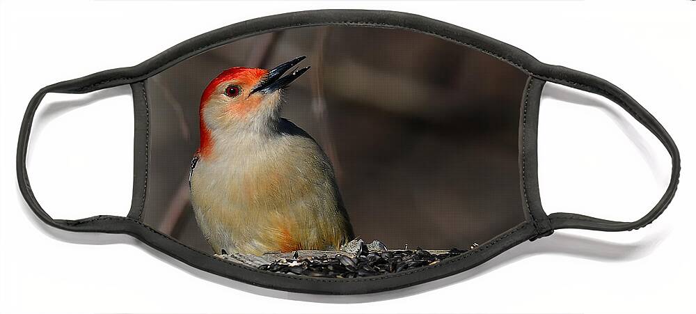 Woodpecker Face Mask featuring the photograph Red-Bellied Woodpecker by Lois Bryan