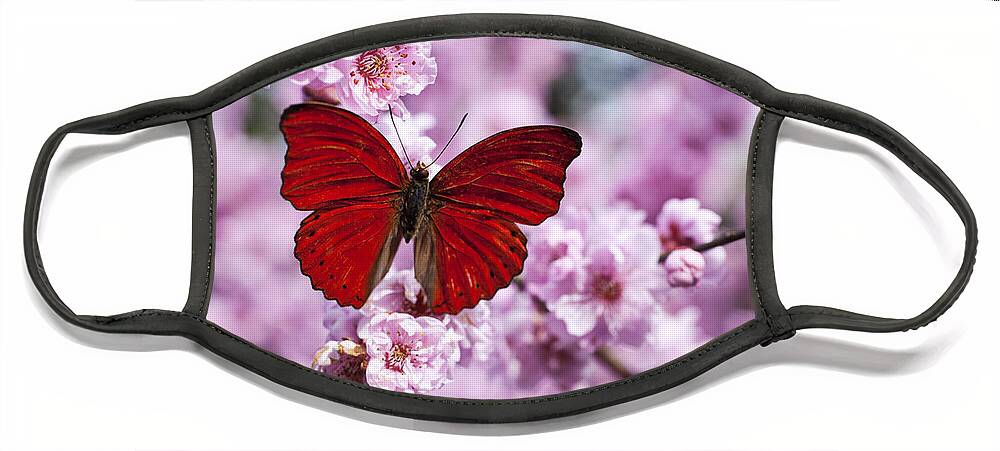 Red Face Mask featuring the photograph Red butterfly on plum blossom branch by Garry Gay