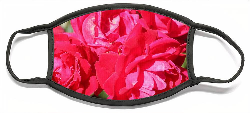 Rose Face Mask featuring the photograph Red Roses 1 by Joseph C Hinson