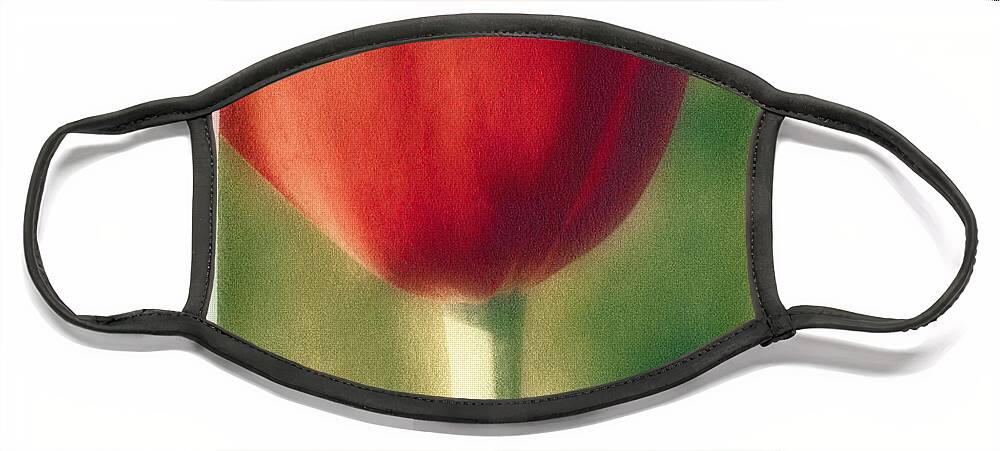 Spring Face Mask featuring the photograph Red Tulip by Joye Ardyn Durham
