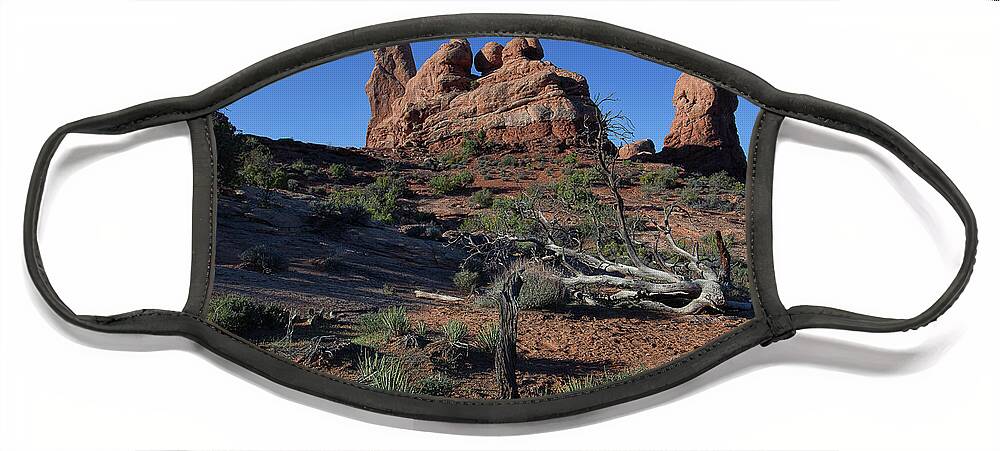 Utah Landscape Face Mask featuring the photograph Twisted Garden by Jim Garrison