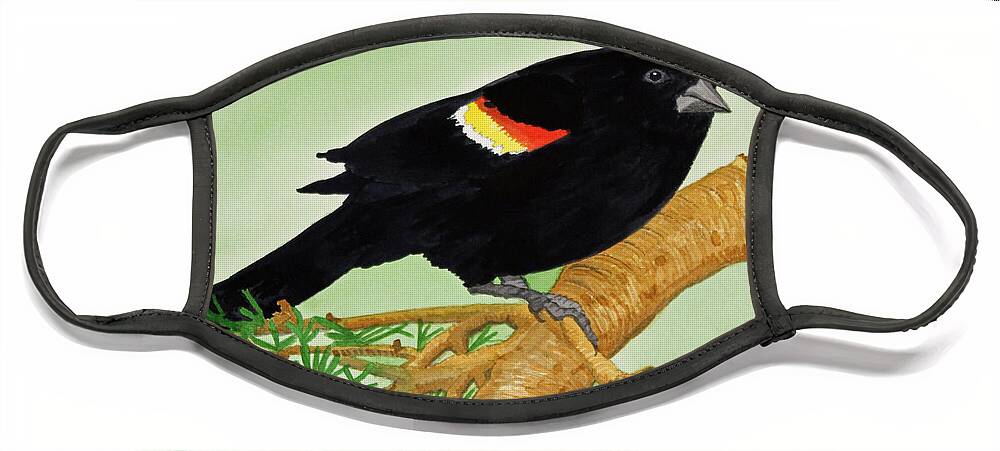 Redwing Blackbird Face Mask featuring the painting Redwing Blackbird by Norma Appleton