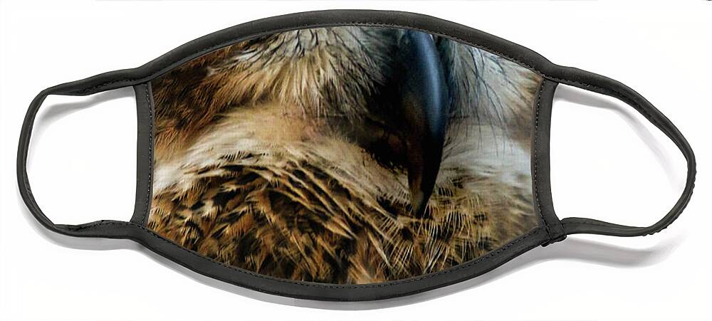 Owls Face Mask featuring the photograph Reelfoot Lake Owls by Veronica Batterson