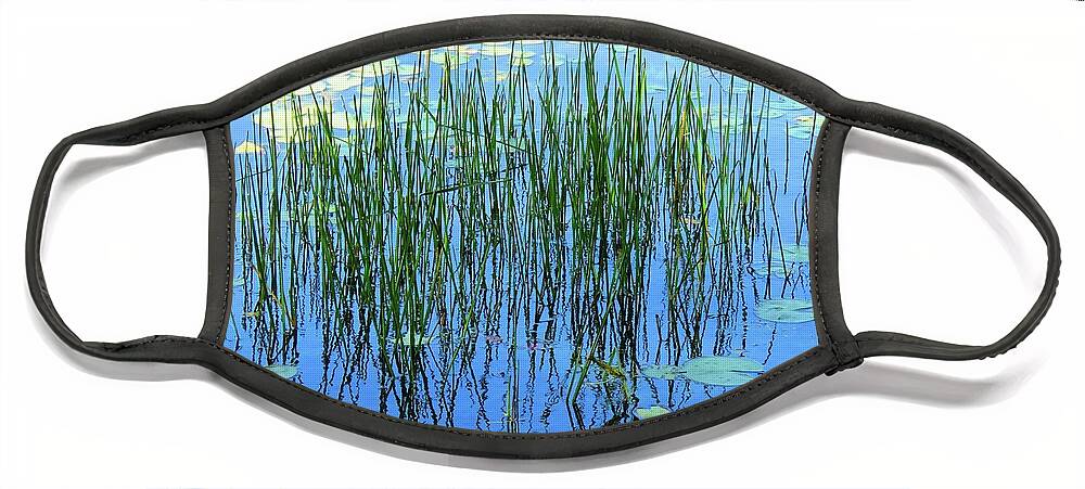 1000 Islands Face Mask featuring the photograph Reflections in the Bay by Dennis McCarthy