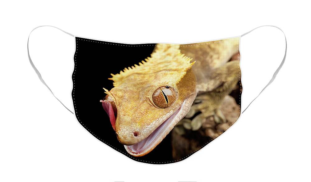 Abstract Face Mask featuring the photograph Reptile close up with tongue by Simon Bratt