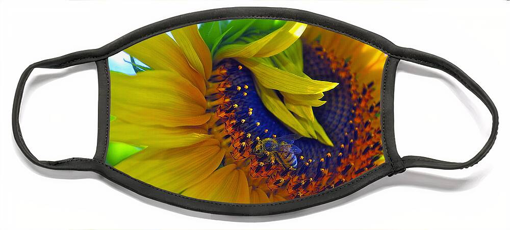 Sunflower Face Mask featuring the photograph Rich in Pollen by Gwyn Newcombe