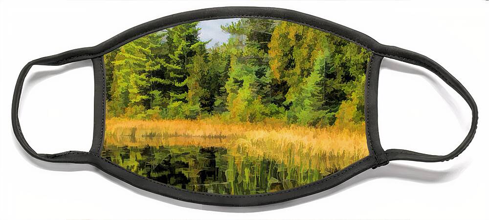 Door County Face Mask featuring the painting Ridges Sanctuary Reflections by Christopher Arndt