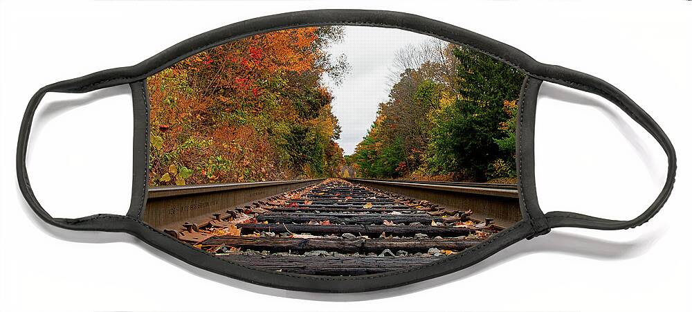 Rail Face Mask featuring the photograph Riding the rails by David Pratt