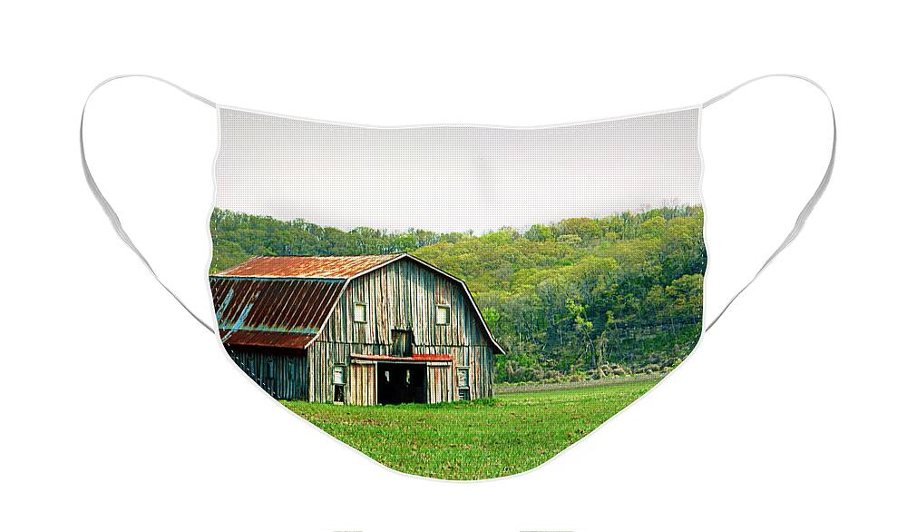 Barn Face Mask featuring the photograph Riverbottom Barn in Spring by Cricket Hackmann
