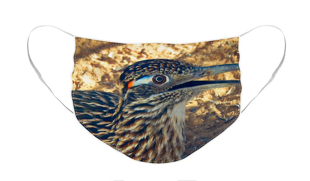 Arizona Face Mask featuring the photograph Roadrunner Portrait by Judy Kennedy