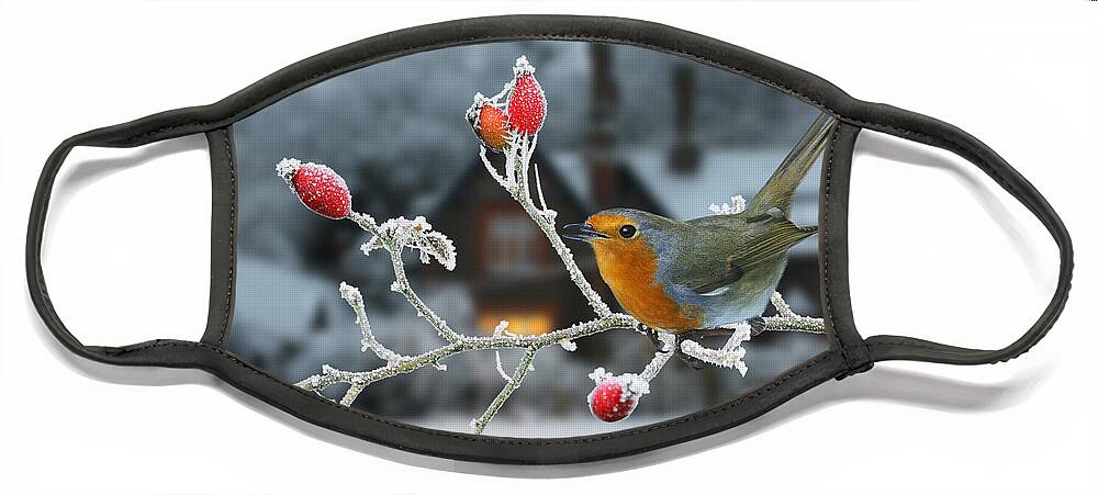 European Robin Face Mask featuring the photograph Robin and rose hips by Warren Photographic