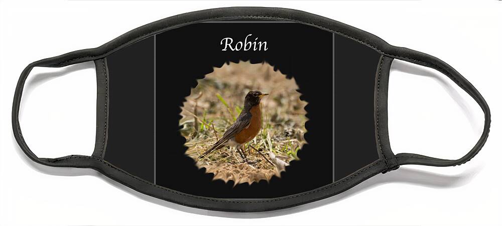 Robin Face Mask featuring the photograph Robin by Holden The Moment