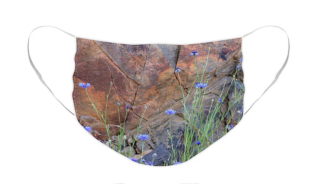 Rock Face Mask featuring the photograph Rock Wall behind Cornflowers by Kae Cheatham