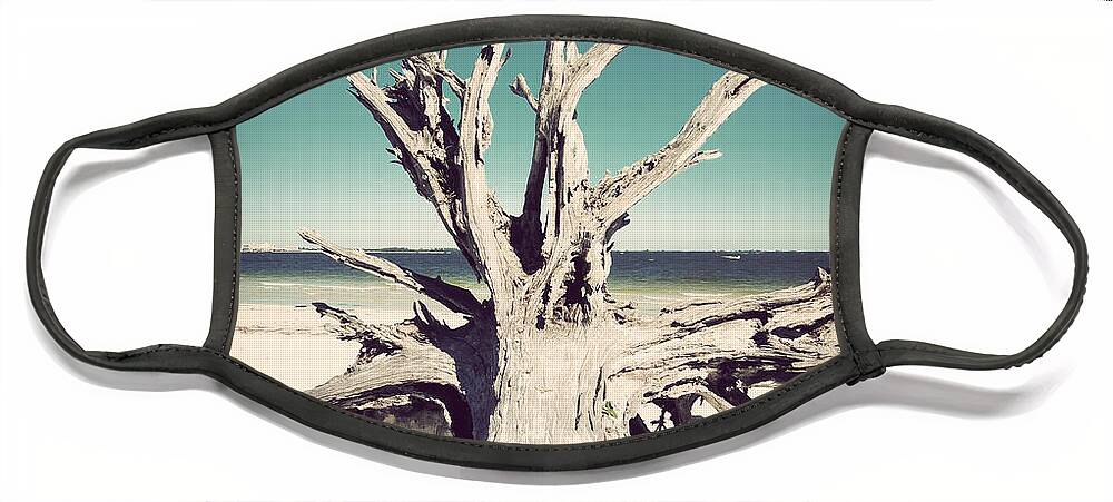 Florida Face Mask featuring the photograph Roots to the Sky-Vintage by Chris Andruskiewicz