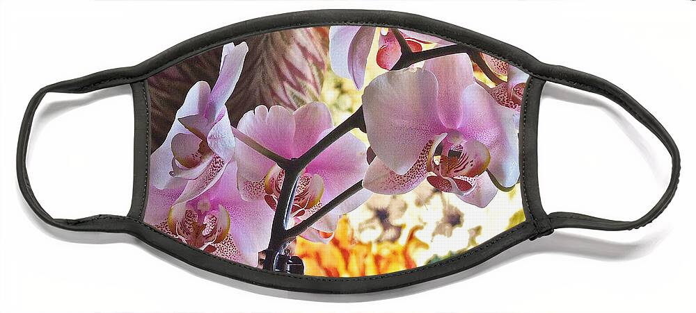 Orchids Face Mask featuring the photograph Rose Cottage Orchid by Janis Senungetuk