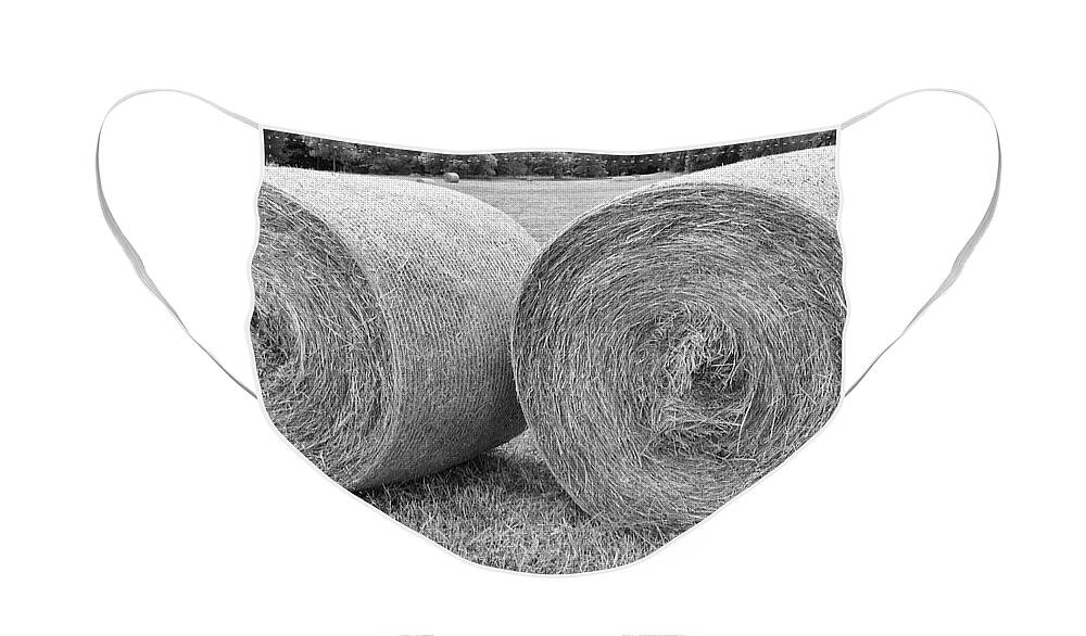 Hay Face Mask featuring the photograph Round Hay Bales Black and White by James BO Insogna