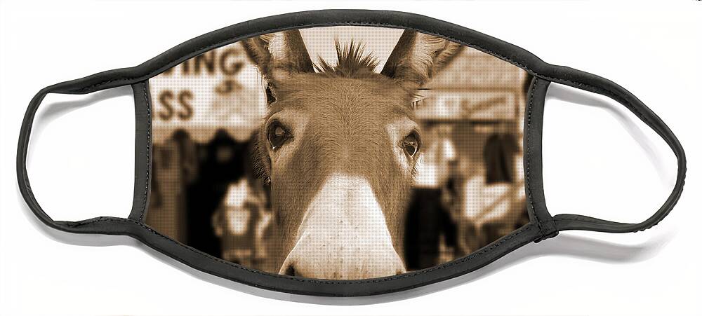 Route 66 Face Mask featuring the photograph Route 66 - Oatman Donkeys by Mike McGlothlen