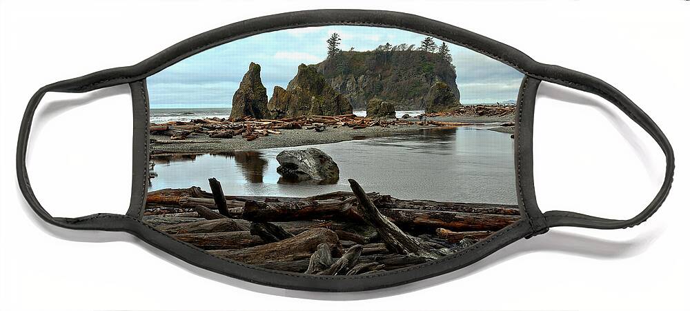 Ruby Beach Face Mask featuring the photograph Ruby Beach Driftwood by Adam Jewell