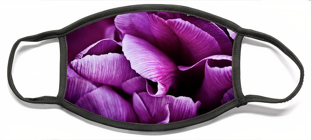 Purple Tulips Face Mask featuring the photograph Ruffled Edge Tulips by Joann Copeland-Paul