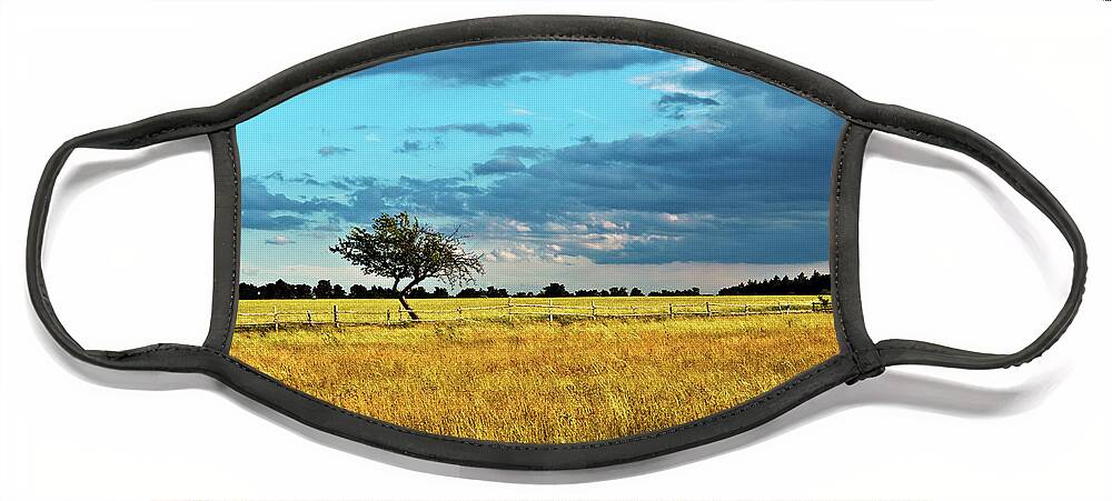 Rural Idyll Poetry Face Mask featuring the photograph Rural Idyll Poetry by Silva Wischeropp