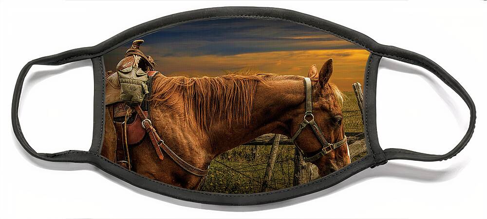 Saddle Face Mask featuring the photograph Saddle Horse on the Prairie by Randall Nyhof