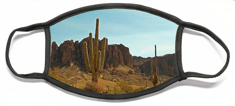 Wall Art Face Mask featuring the photograph Saguaros at Superstition Mountain by Kelly Holm