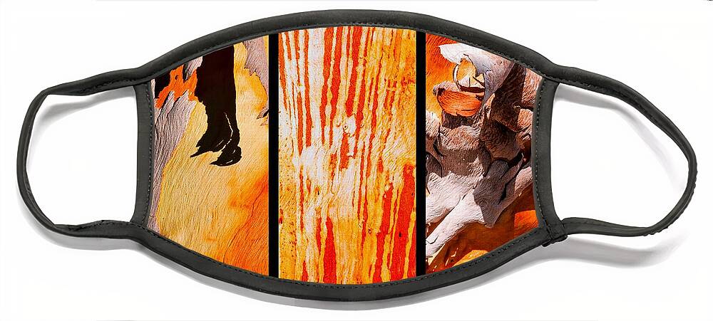 Australian Tree Bark Series By Lexa Harpell Face Mask featuring the photograph Salmon Gum Tree Triptych by Lexa Harpell