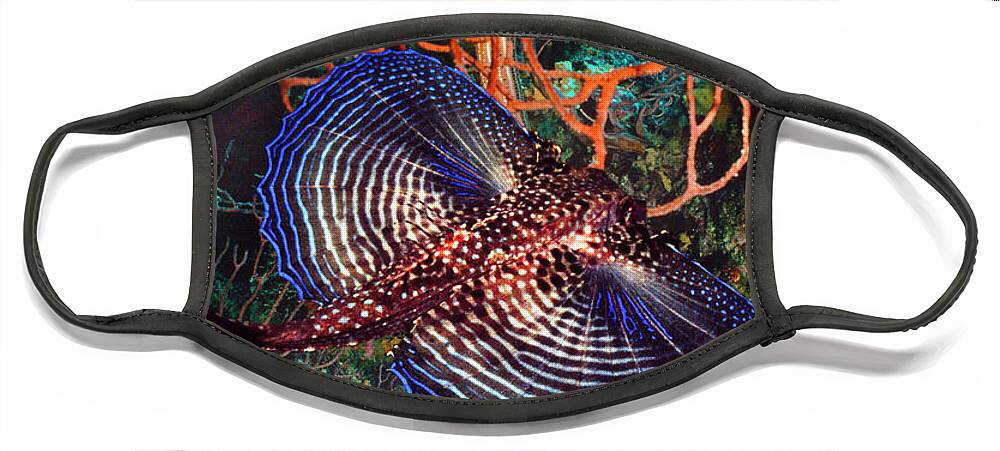 African Face Mask featuring the photograph Sea Robin The Flying Gurnard by Debra and Dave Vanderlaan