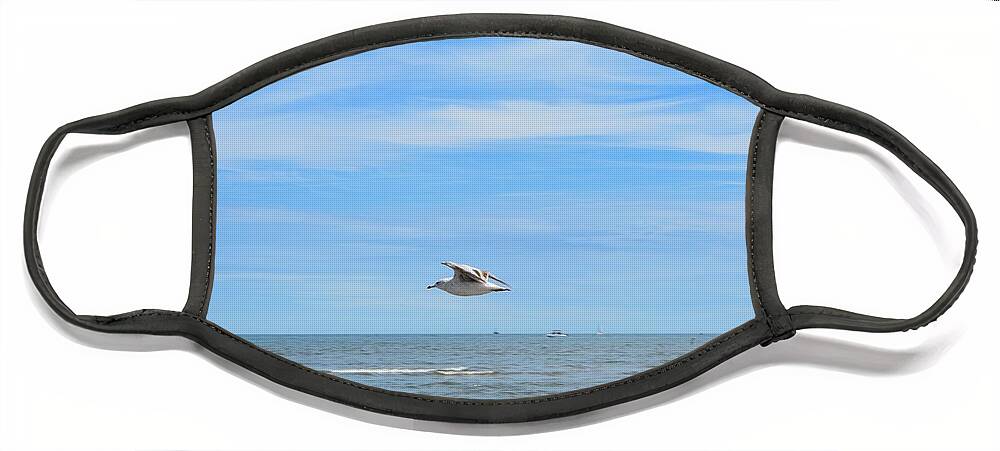 Seagull Face Mask featuring the photograph Seagull in Flight by Dani McEvoy