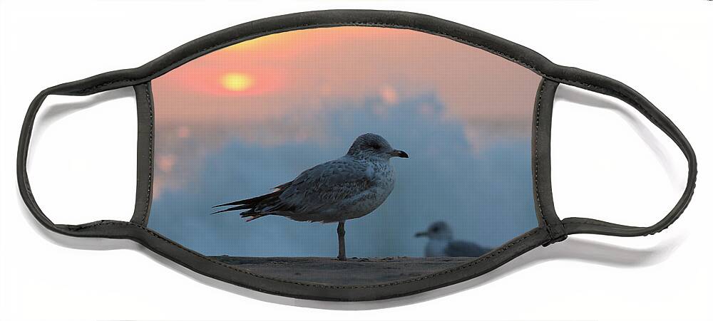 Sun Face Mask featuring the photograph Seagull Seascape Sunrise by Robert Banach