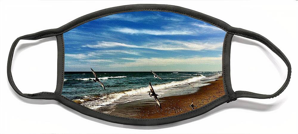 Seagulls Flying At The Beach Face Mask featuring the photograph Seagulls At The Beach by Carlos Avila