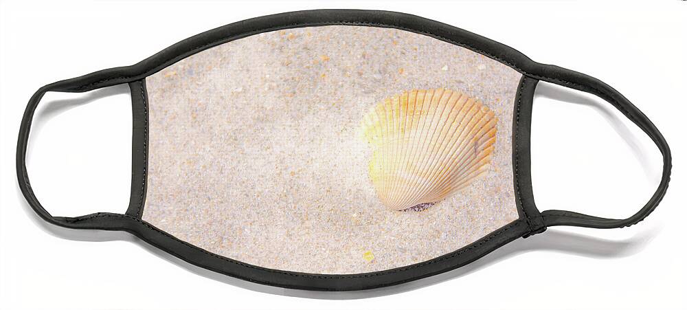 Shell Face Mask featuring the photograph Seashell by Pamela Williams