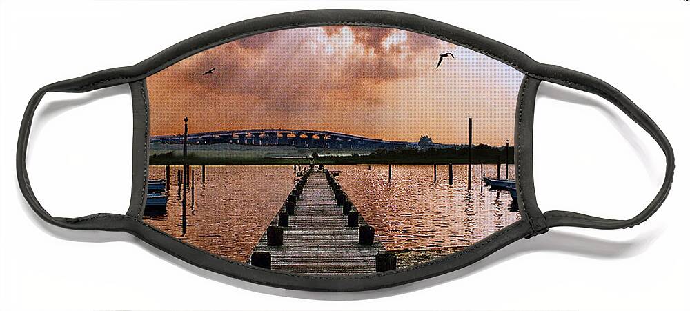 Seascape Face Mask featuring the photograph Seaside by Steve Karol