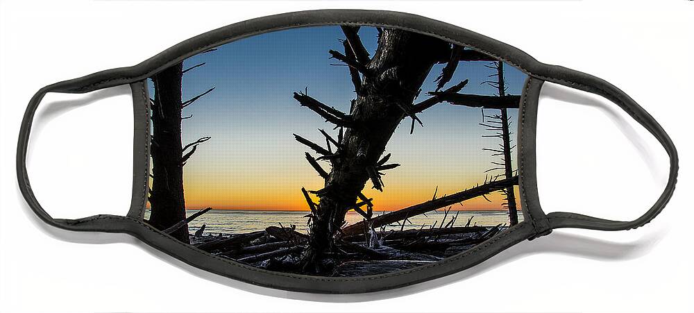 Branch Face Mask featuring the photograph Seaside Tree Branch Sunset 3 by Pelo Blanco Photo