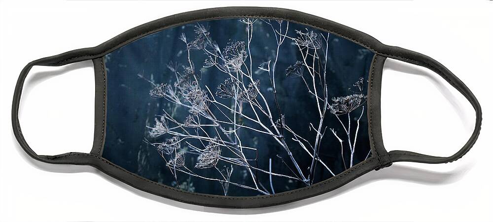  Face Mask featuring the photograph Seedheads and Tarpaulin by Anita Nicholson