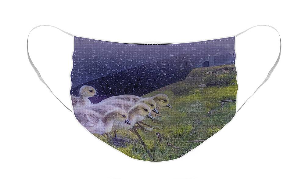 Baby Geese Face Mask featuring the digital art Seeking Shelter From The Storm Digital Artwork by Mary Lou Chmur by Mary Lou Chmura