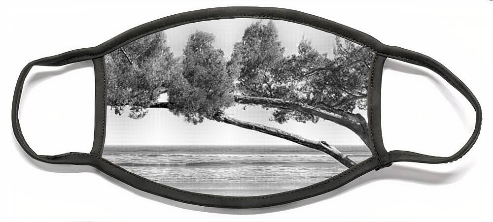 Shade Tree Face Mask featuring the photograph Shade Tree bw by Mike McGlothlen