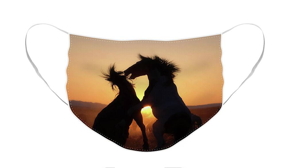 Wild Horses Mustangs Equine Sunset Wildlife Western Heritage Face Mask featuring the photograph Showdown Sunset by Dirk Johnson