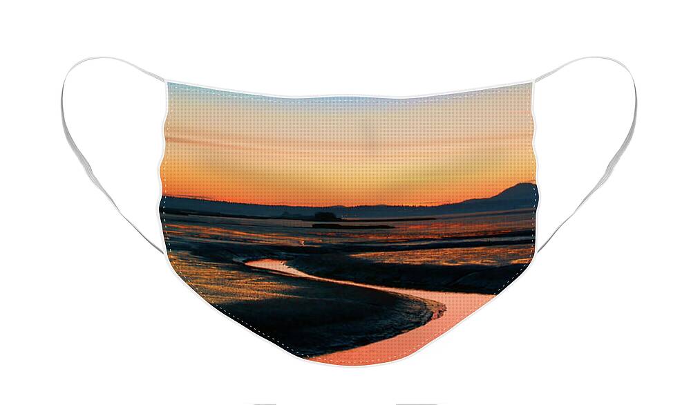 Skagit Face Mask featuring the photograph Skagit Flats by Tim Dussault