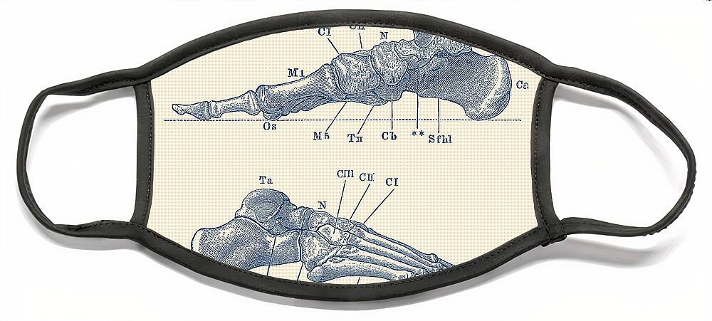Skeleton Face Mask featuring the drawing Skeletal Foot Diagram - Dual View - Anatomy Print by Vintage Anatomy Prints