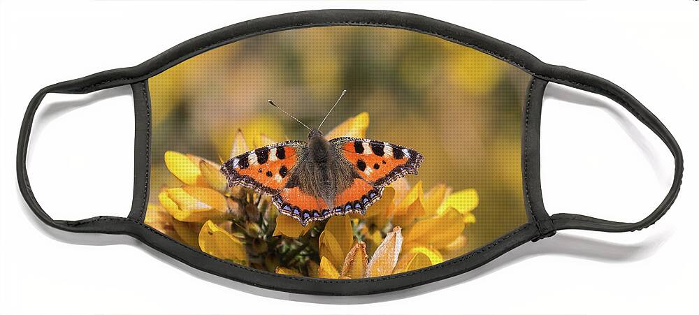 Nature Face Mask featuring the photograph Small Tortoiseshell on gorse by Wendy Cooper