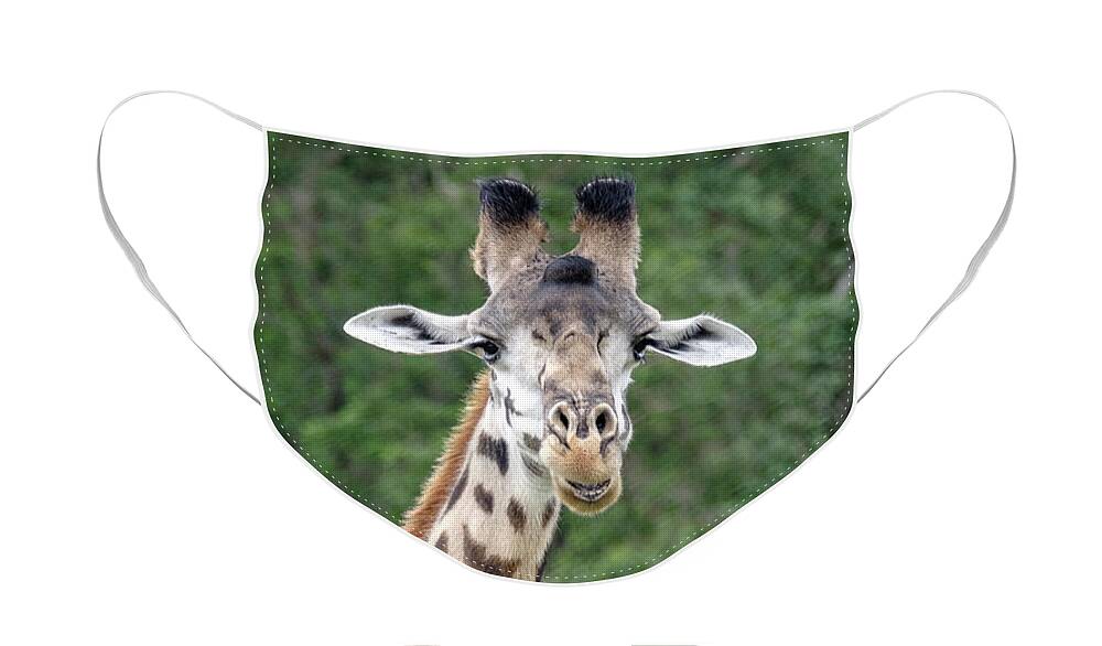 Africa Face Mask featuring the photograph Smiling Giraffe by Mary Lee Dereske