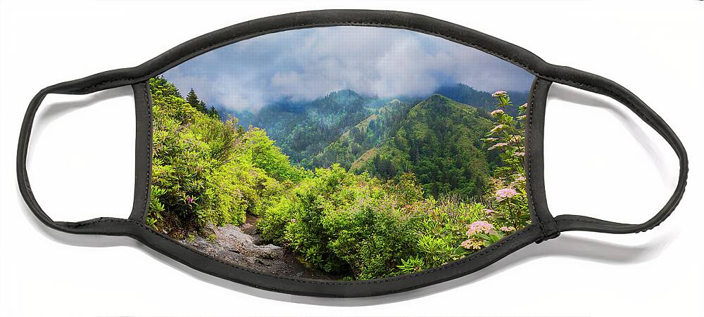 Appalachia Face Mask featuring the photograph Smoky Mountain Overlook by Debra and Dave Vanderlaan