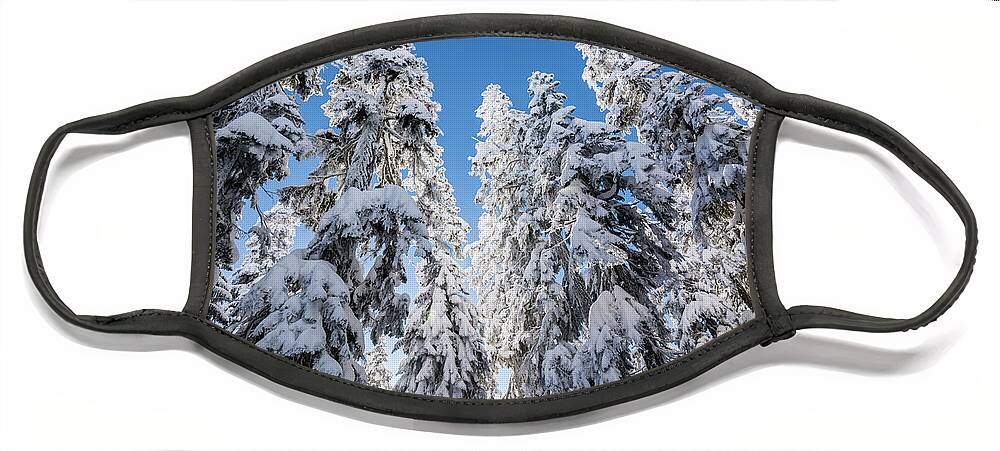 Tree Face Mask featuring the photograph Snow Covered Trees 3 by Pelo Blanco Photo