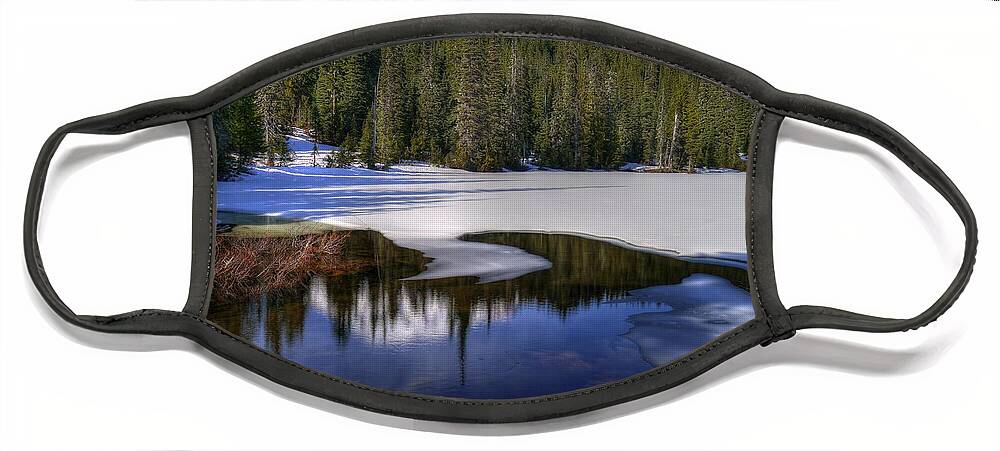 Mt Rainier Face Mask featuring the photograph Snow-melt Revelations by Peter Mooyman